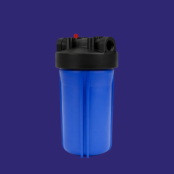10 Inch 1 Inch Port bag Filter Housing with 2 filters