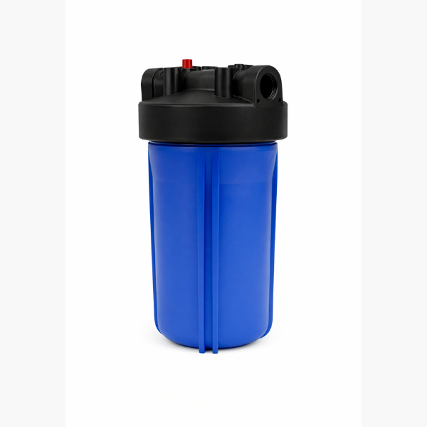 10 Inch 1 Inch Port bag Filter Housing with 2 filters